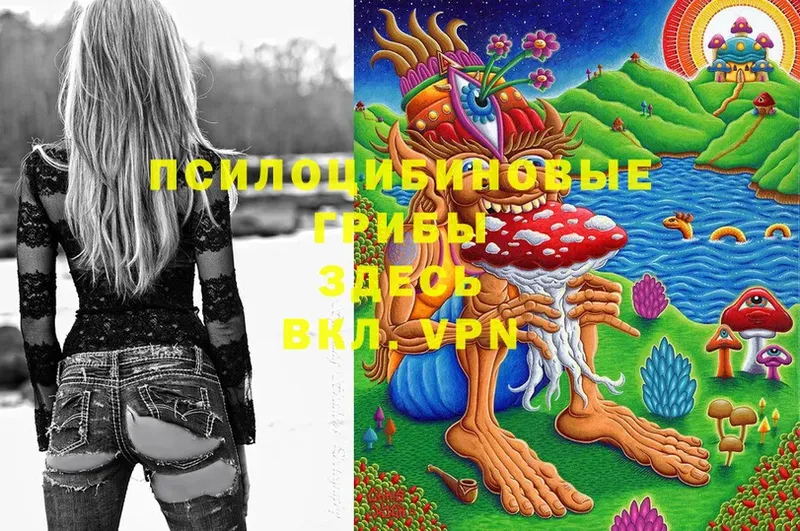 Псилоцибиновые грибы Magic Shrooms  Сокол 